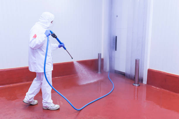 Best Playground Equipment Cleaning  in Bluffton, IN