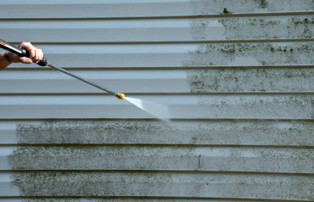Best Fence Cleaning  in Bluffton, IN